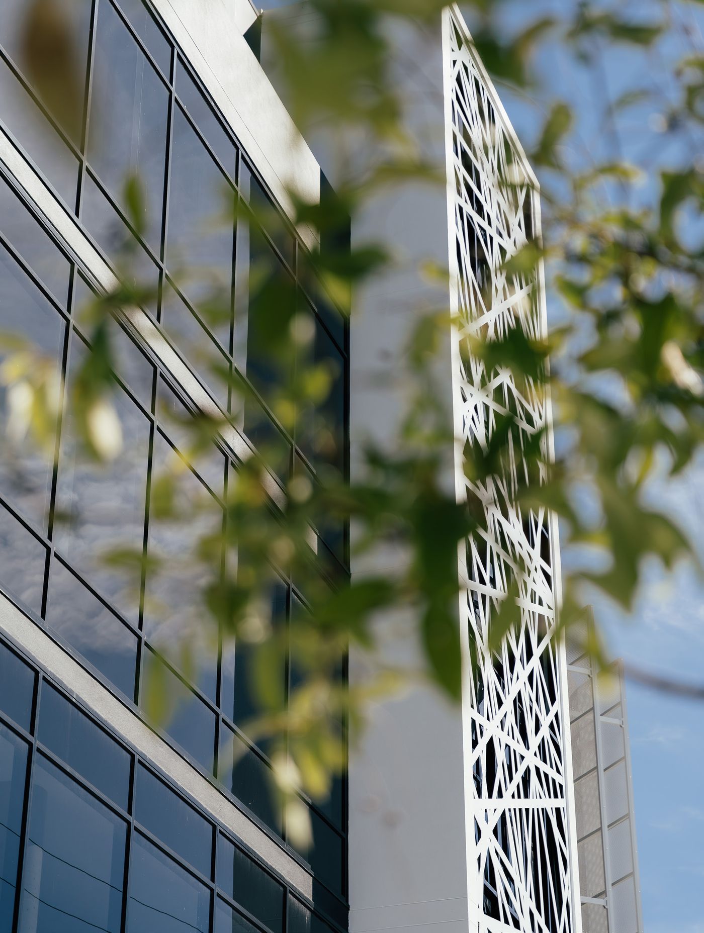 The laser-cut screen and garden on The Lawson, OMB's building in Southport
